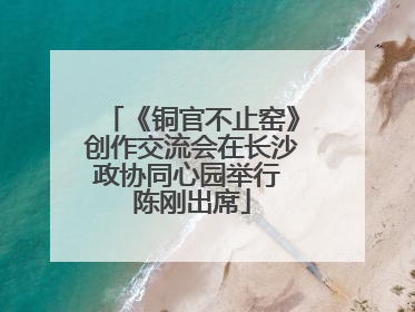 《铜官不止窑》创作交流会在长沙政协同心园举行 陈刚出席
