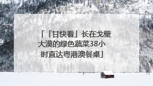 「甘快看」长在戈壁大漠的绿色蔬菜38小时直达粤港澳餐桌