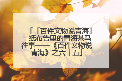 「百件文物说青海」一纸布告里的青海茶马往事——《百件文物说青海》之六十五