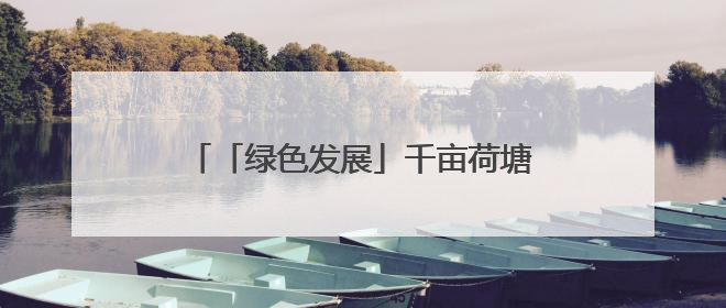 「绿色发展」千亩荷塘 十年新生｜四任航空村官的“生态接力”