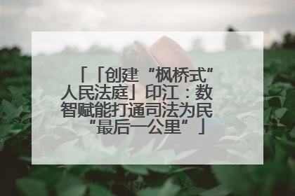 「创建“枫桥式”人民法庭」印江：数智赋能打通司法为民“最后一公里”