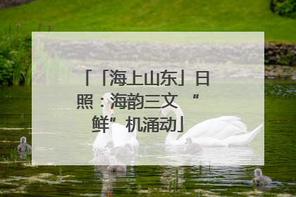 「海上山东」日照：海韵三文 “鲜”机涌动