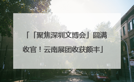 「聚焦深圳文博会」圆满收官！云南展团收获颇丰