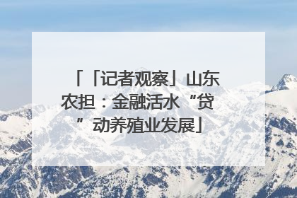 「记者观察」山东农担：金融活水“贷”动养殖业发展