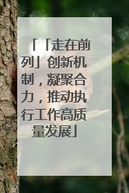 「走在前列」创新机制，凝聚合力，推动执行工作高质量发展