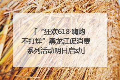 “狂欢618·嗨购不打烊”黑龙江促消费系列活动明日启动