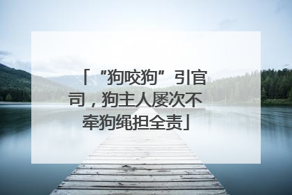 “狗咬狗”引官司，狗主人屡次不牵狗绳担全责