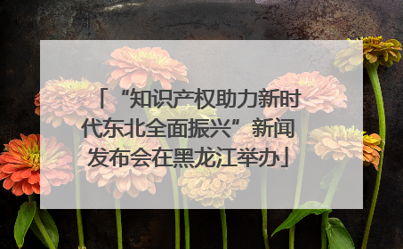 “知识产权助力新时代东北全面振兴”新闻发布会在黑龙江举办