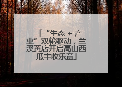 “生态 + 产业”双轮驱动，兰溪黄店开启高山西瓜丰收乐章