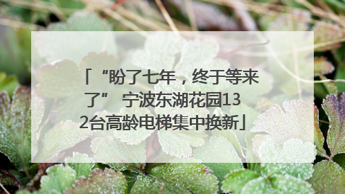 “盼了七年，终于等来了” 宁波东湖花园132台高龄电梯集中换新