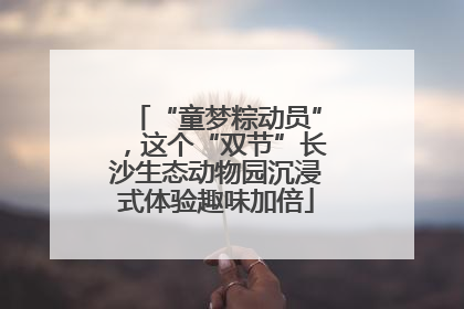 “童梦粽动员”，这个“双节”长沙生态动物园沉浸式体验趣味加倍