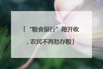“粮食银行”敞开收，农民不再愁存粮