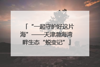 “一起守护好这片海”——天津渤海湾畔生态“蜕变记”