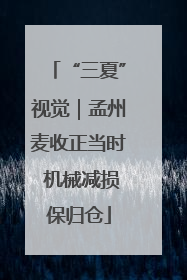 “三夏”视觉｜孟州麦收正当时 机械减损保归仓