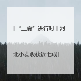 “三夏”进行时丨河北小麦收获近七成