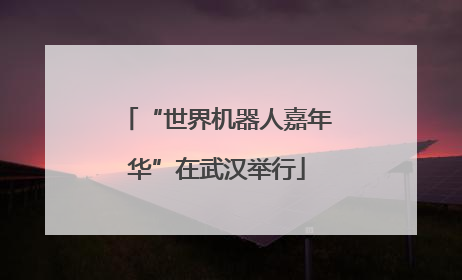 “世界机器人嘉年华”在武汉举行