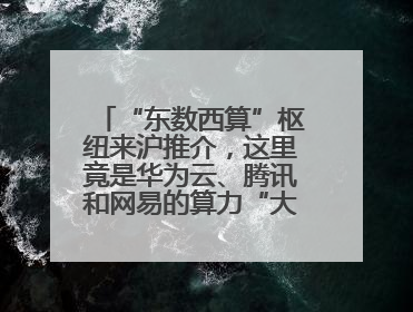 “东数西算”枢纽来沪推介，这里竟是华为云、腾讯和网易的算力“大本营”