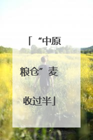“中原粮仓”麦收过半