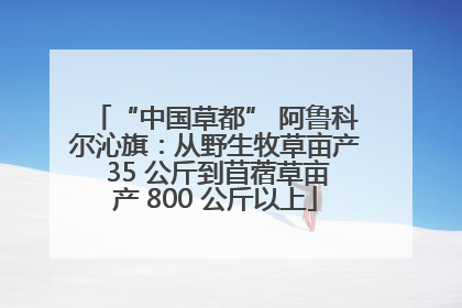 “中国草都” 阿鲁科尔沁旗：从野生牧草亩产 35 公斤到苜蓿草亩产 800 公斤以上