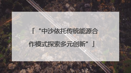 “中沙依托传统能源合作模式探索多元创新”