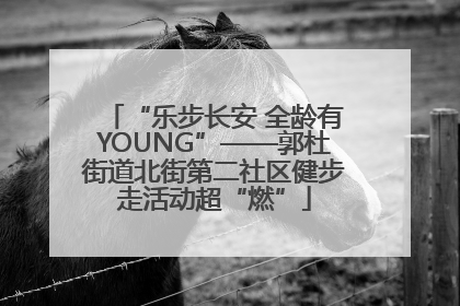 “乐步长安 全龄有YOUNG”——郭杜街道北街第二社区健步走活动超“燃”