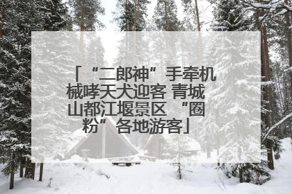 “二郎神”手牵机械哮天犬迎客 青城山都江堰景区 “圈粉”各地游客