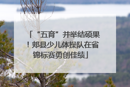 “五育”并举结硕果！郏县少儿体操队在省锦标赛勇创佳绩