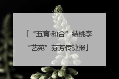 “五育·和合”结桃李 “艺苑”芬芳传捷报