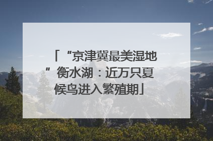 “京津冀最美湿地”衡水湖：近万只夏候鸟进入繁殖期