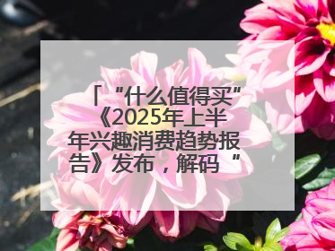 “什么值得买”《2025年上半年兴趣消费趋势报告》发布，解码“心价比”时代兴趣消费新范式