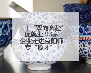 “双向奔赴”促就业 93家企业走进益阳师专“揽才”