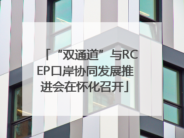 “双通道”与RCEP口岸协同发展推进会在怀化召开