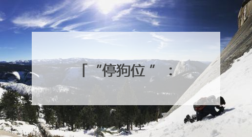 “停狗位 ”：让温情藏在 “方寸之间 ”