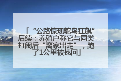 “公路惊现鸵鸟狂飙”后续：养殖户称它与同类打闹后“离家出走”，跑了1公里被找回