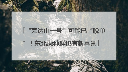 “完达山一号”可能已“脱单”！东北虎种群也有新喜讯
