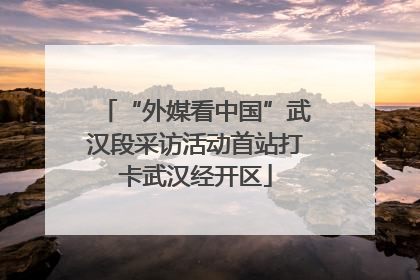 “外媒看中国”武汉段采访活动首站打卡武汉经开区