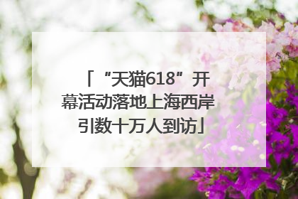 “天猫618”开幕活动落地上海西岸 引数十万人到访