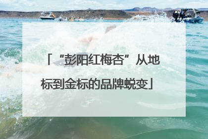 “彭阳红梅杏”从地标到金标的品牌蜕变
