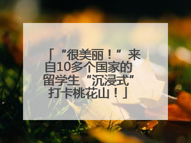 “很美丽！”来自10多个国家的留学生“沉浸式”打卡桃花山！