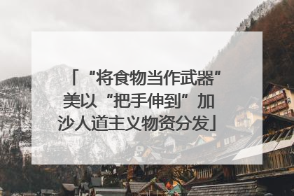 “将食物当作武器” 美以“把手伸到”加沙人道主义物资分发