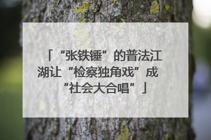 “张铁锤”的普法江湖让“检察独角戏”成“社会大合唱”
