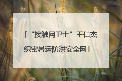 “接触网卫士”王仁杰织密暑运防洪安全网