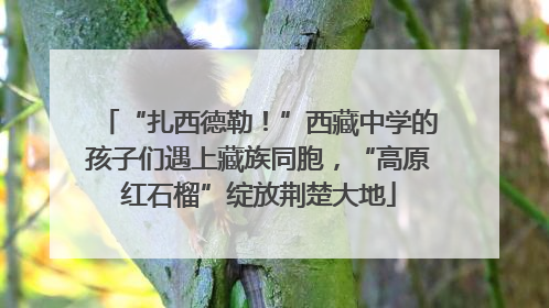 “扎西德勒！”西藏中学的孩子们遇上藏族同胞，“高原红石榴”绽放荆楚大地
