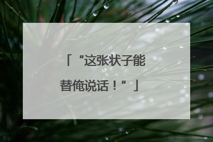 “这张状子能替俺说话！”