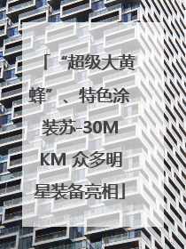 “超级大黄蜂”、特色涂装苏-30MKM 众多明星装备亮相