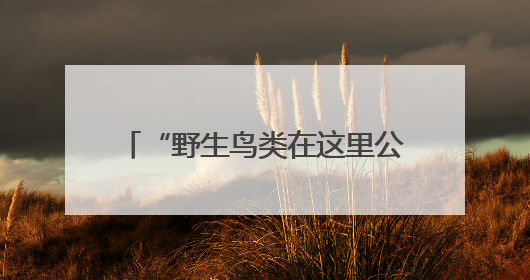 “野生鸟类在这里公开贩卖”，人民日报暗访后，西安表态