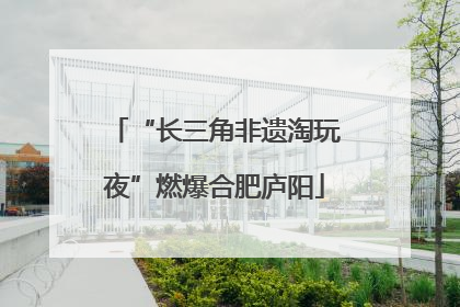 “长三角非遗淘玩夜”燃爆合肥庐阳