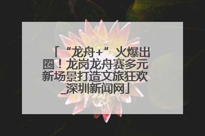 “龙舟+”火爆出圈！龙岗龙舟赛多元新场景打造文旅狂欢_深圳新闻网