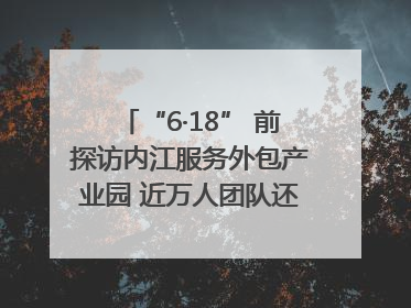 “6·18” 前探访内江服务外包产业园 近万人团队还在不断拓展｜内江东兴“红”在哪⑤
