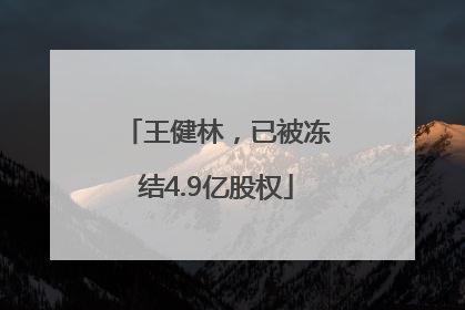 王健林，已被冻结4.9亿股权